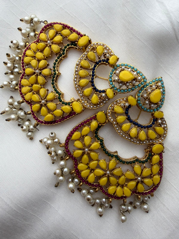 Roshni